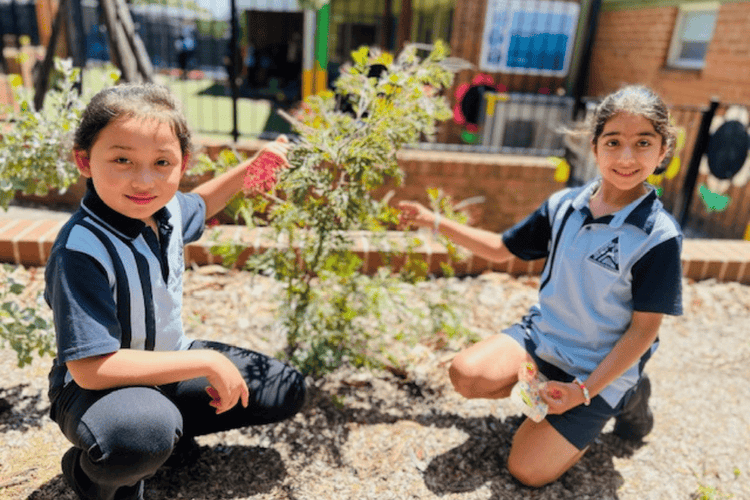 Photo of 2 students in the garden, showcasing a newly planted tree.